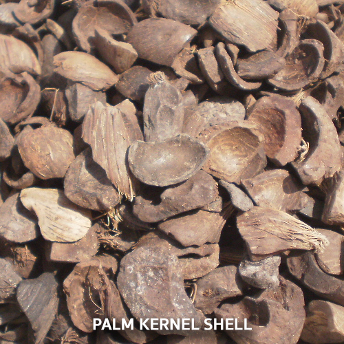 Palm Kernel Shell